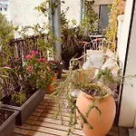 Boheme Chez Rachel פאו