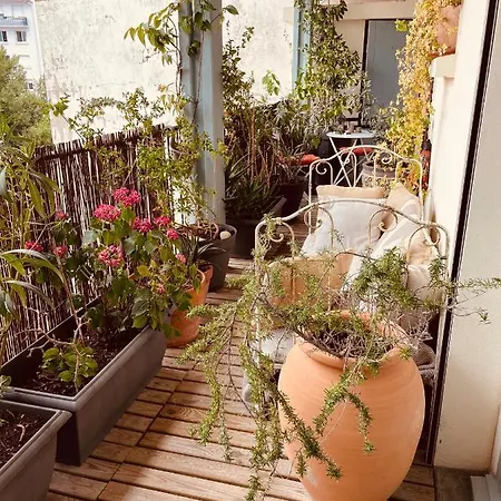 Boheme Chez Rachel Pau